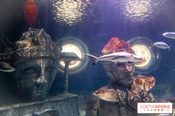 Les petits déjeuners avec les manchots de l'aquarium Sea Life
