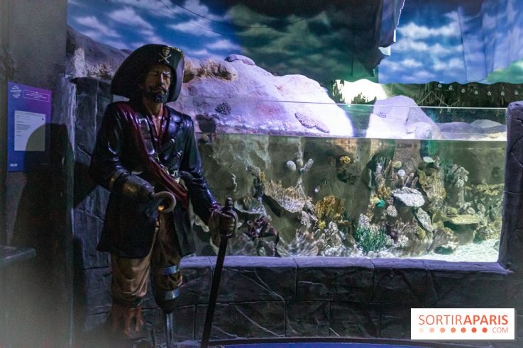 Les petits déjeuners avec les manchots de l'aquarium Sea Life