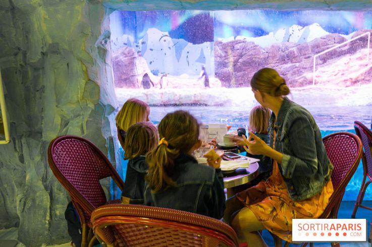Les petits déjeuners avec les manchots de l'aquarium Sea Life