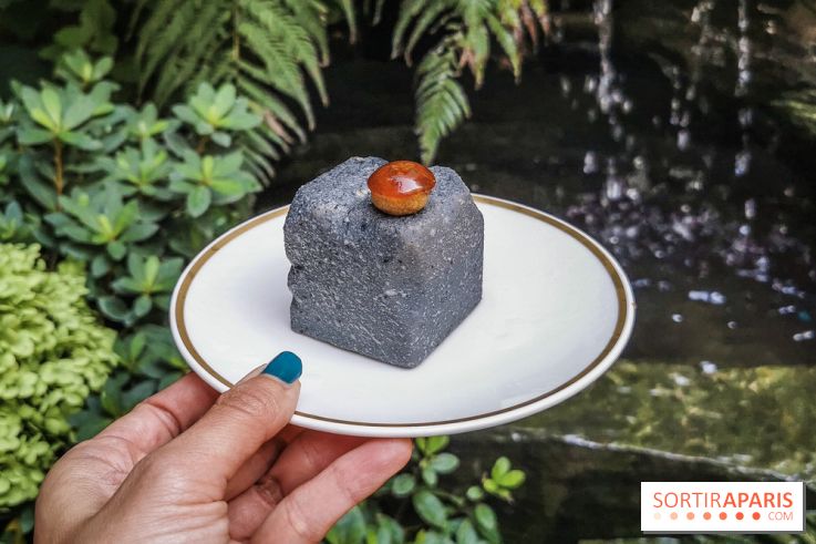 La Noisette 3, le pavé de Quentin Lechat au T’time Jardin Privée