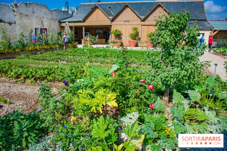 Le Château de Chambord fête ses 500 ans : le programme des festivités