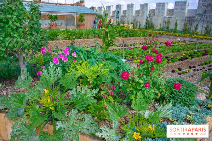 Le Château de Chambord fête ses 500 ans : le programme des festivités