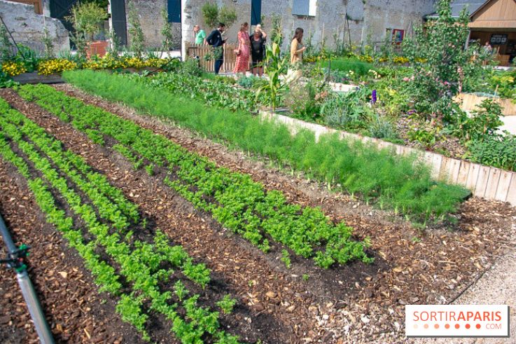 Le Château de Chambord fête ses 500 ans : le programme des festivités