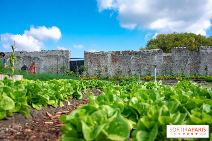 Le Château de Chambord fête ses 500 ans : le programme des festivités