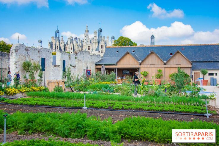 Le Château de Chambord fête ses 500 ans : le programme des festivités