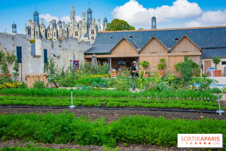 Le Château de Chambord fête ses 500 ans : le programme des festivités