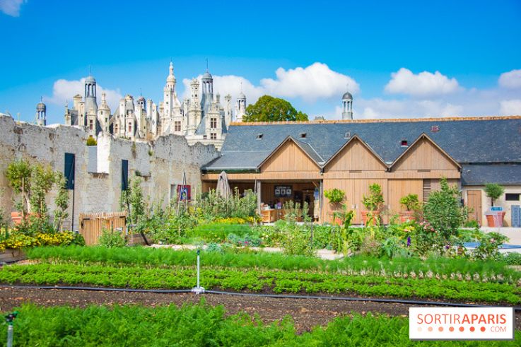 Le Château de Chambord fête ses 500 ans : le programme des festivités