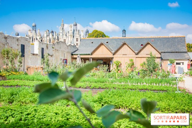Le Château de Chambord fête ses 500 ans : le programme des festivités