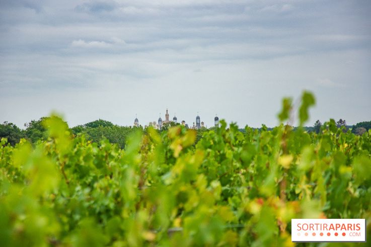 Le Château de Chambord fête ses 500 ans : le programme des festivités
