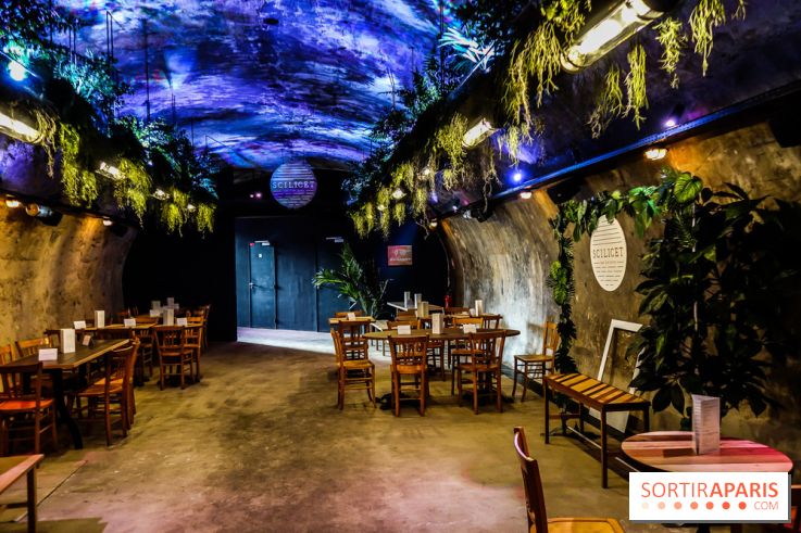 Bar le Scilicet, les photos