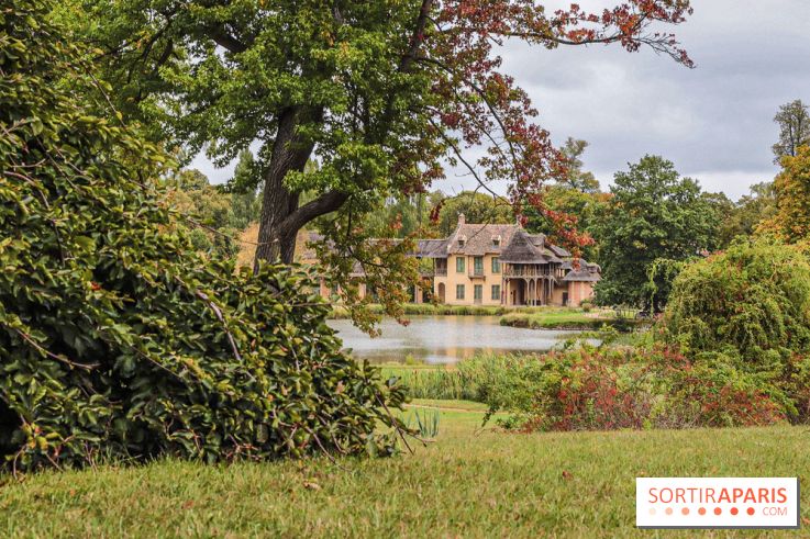 Le parcours des Arbres Admirables dans le domaine du château de Versailles