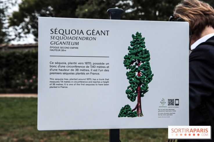 Le parcours des Arbres Admirables dans le domaine du château de Versailles