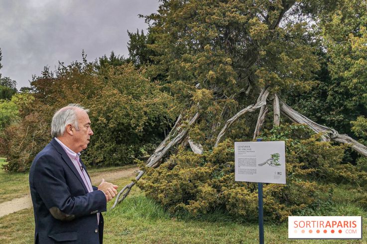 Le parcours des Arbres Admirables dans le domaine du château de Versailles