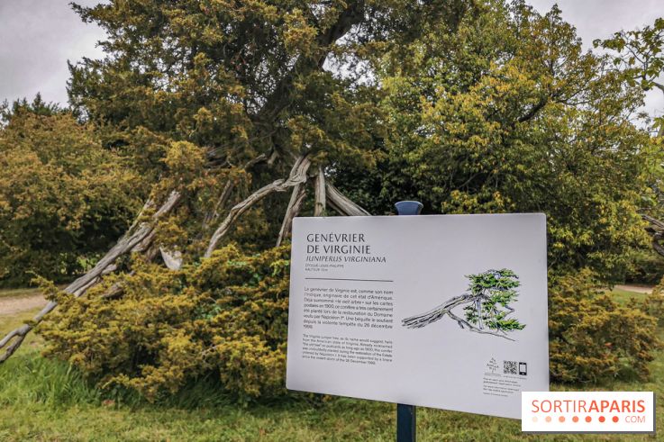 Le parcours des Arbres Admirables dans le domaine du château de Versailles
