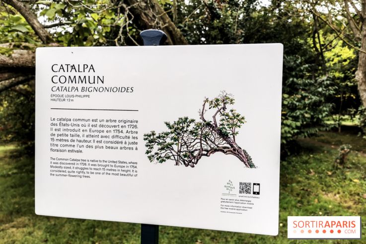 Le parcours des Arbres Admirables dans le domaine du château de Versailles