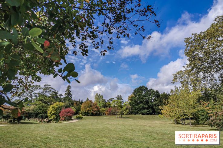 Le parcours des Arbres Admirables dans le domaine du château de Versailles