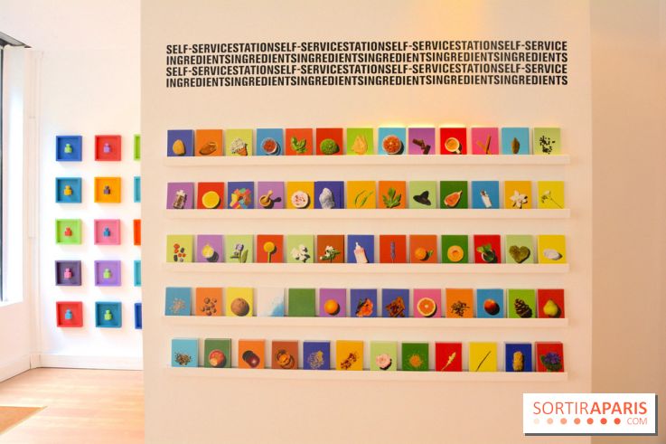 Sillages, la parfumerie sur-mesure