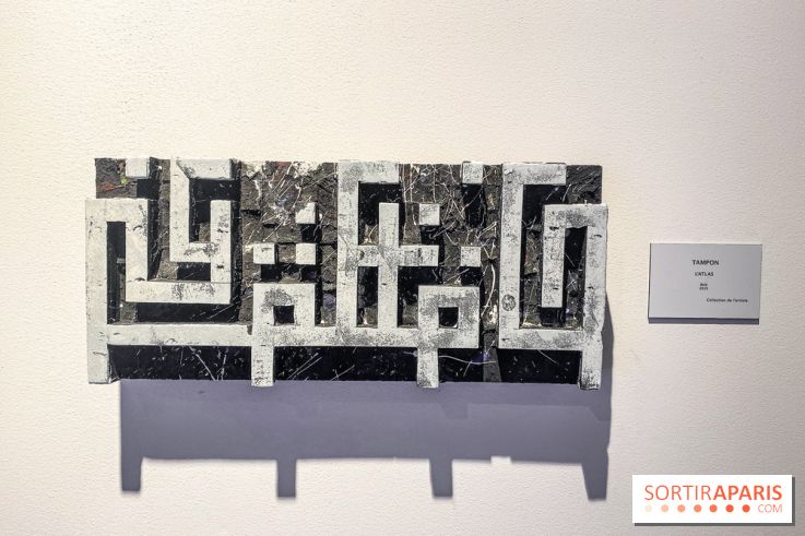 Walk the Line with L’ATLAS, l'epo au Musée en Herbe