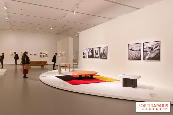 Charlotte Perriand à la Fondation Vuitton