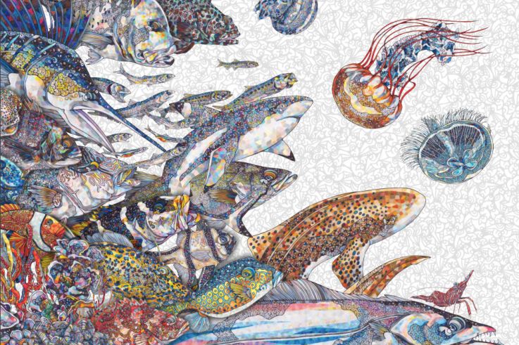 Les petits poissons de Namiko