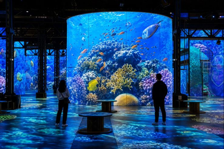 Une plongée immersive dans les océans avec L'Odyssée, l'exposition de l'Atelier des Lumières