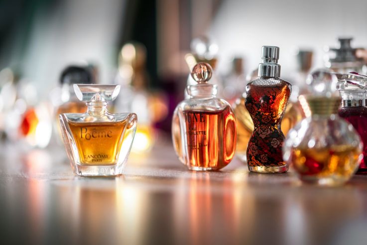 L'âme de la parfumerie française : une exposition élégante à l'espace Richaud à Versailles