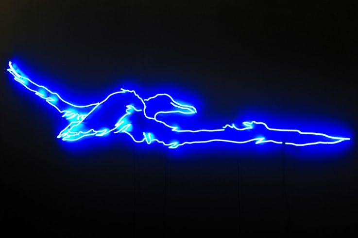 Bêtes de scènes, l'exposition animale à l'Espace Monte-Cristo