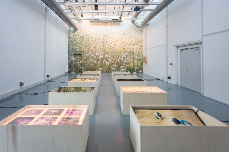 Zones critiques, le festival d'art contemporain écolo