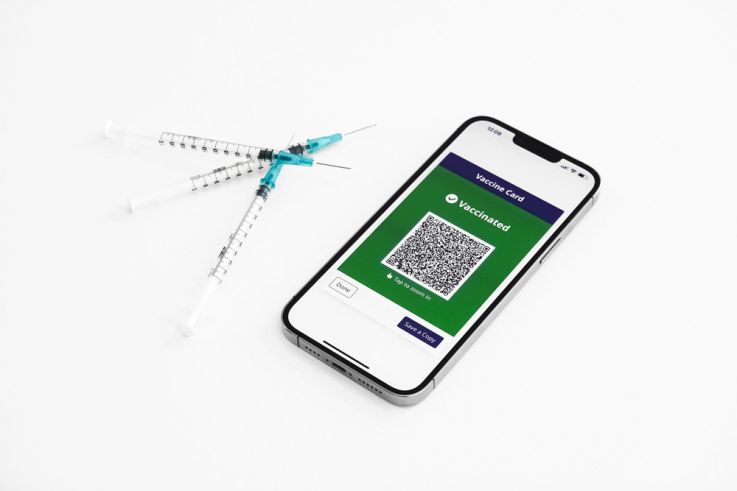 Pass vaccinal : ce que devrait contenir le projet de loi présenté au Parlement