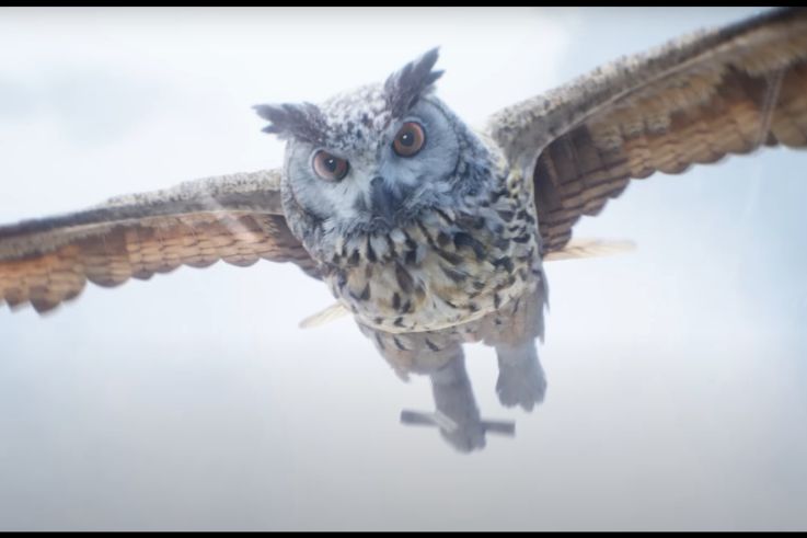 Hogwarts legacy trailer