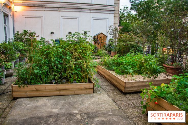 L'Hôtel des Grands Boulevards inaugure son potager suspendu