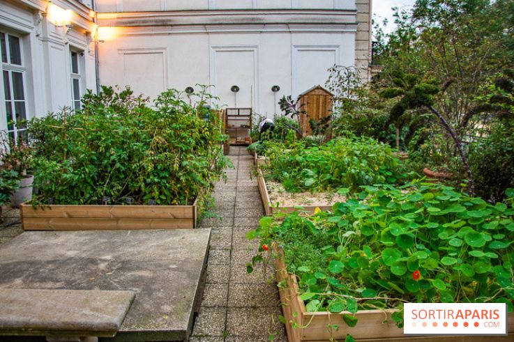 L'Hôtel des Grands Boulevards inaugure son potager suspendu