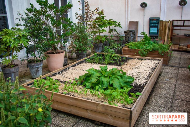 L'Hôtel des Grands Boulevards inaugure son potager suspendu