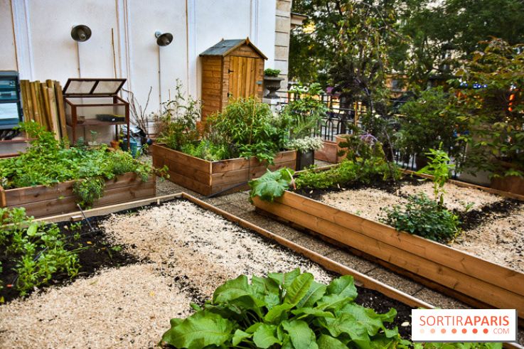 L'Hôtel des Grands Boulevards inaugure son potager suspendu