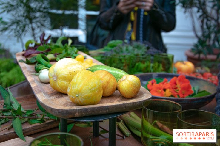 L'Hôtel des Grands Boulevards inaugure son potager suspendu