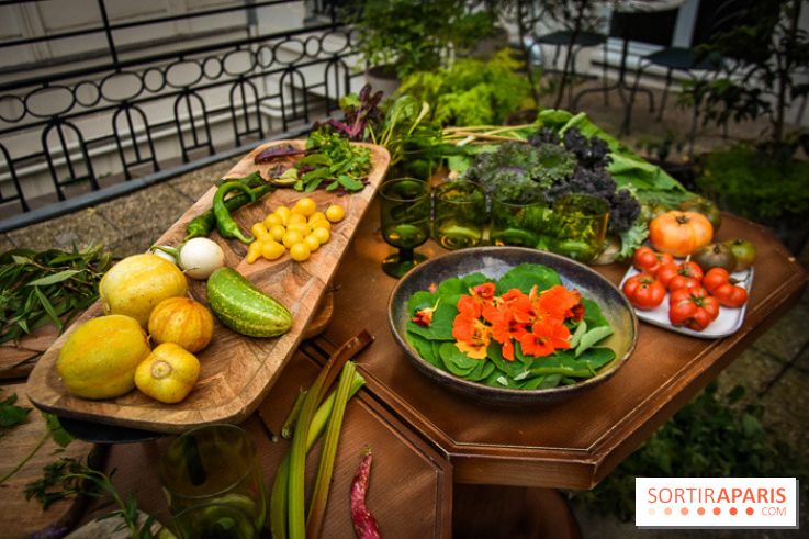 L'Hôtel des Grands Boulevards inaugure son potager suspendu