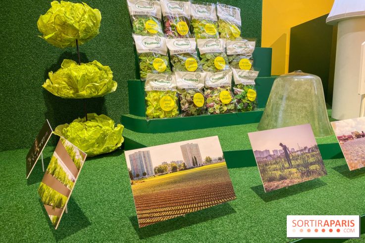 Je mange donc je suis au Musée de l'Homme