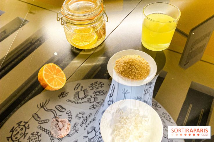 Je mange donc je suis au Musée de l'Homme