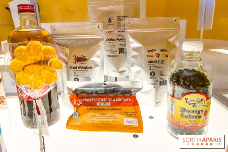 Je mange donc je suis au Musée de l'Homme