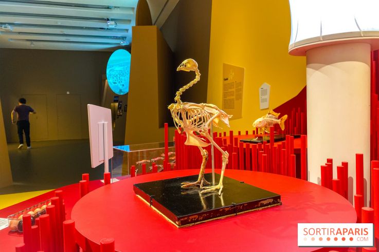 Je mange donc je suis au Musée de l'Homme