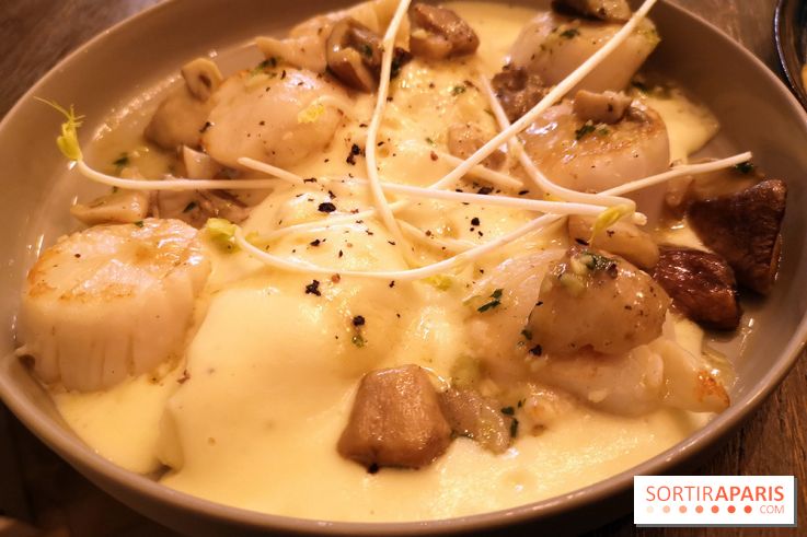 Madame Claude - Restaurant Paris 15ème - Coquilles Saint-Jacques D'Erquy, fricassée de cèpes, mousseline de pomme de terre bien beurrée