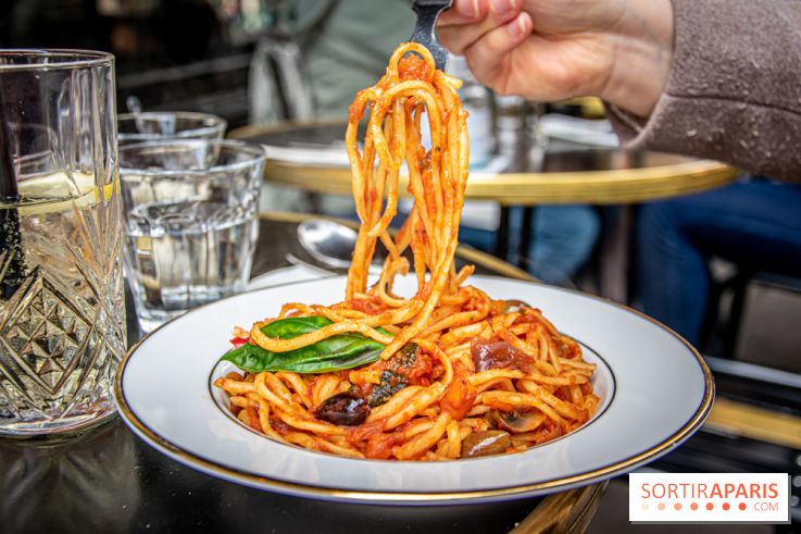 19冊セット♪プロのためのわかりやすいイタリア料理／老舗トラットリアの絶品 プロのためのわかりやすいイタリア料理 | 永作 達宗 |本 | 通販
