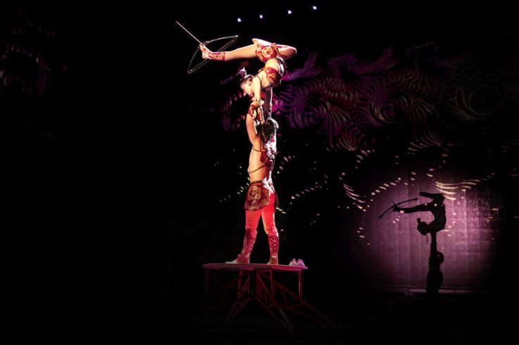 Cirque Phénix Nomades 2019