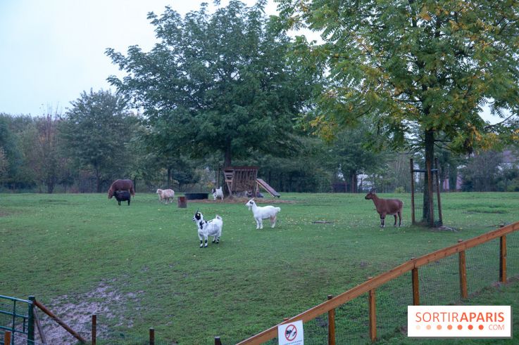 Campanile Val de France : nos photos