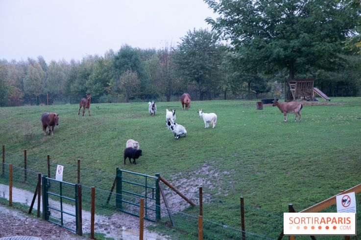 Campanile Val de France : nos photos