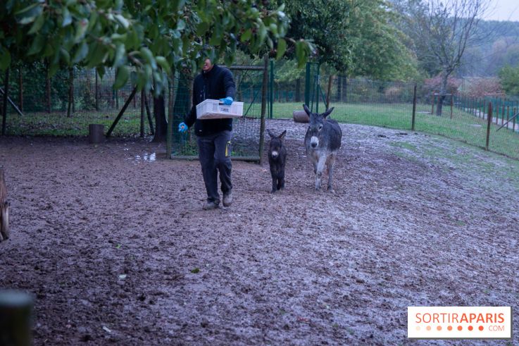 Campanile Val de France : nos photos