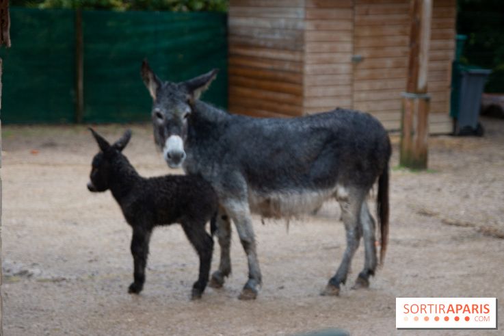 Campanile Val de France : nos photos