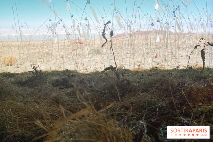 Christian Boltanski, Animitas Chili, 2014