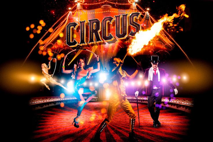 Réveillon CIRCUS NYE 2020 ( Dancefloor XXL - Shows du Cirque )
