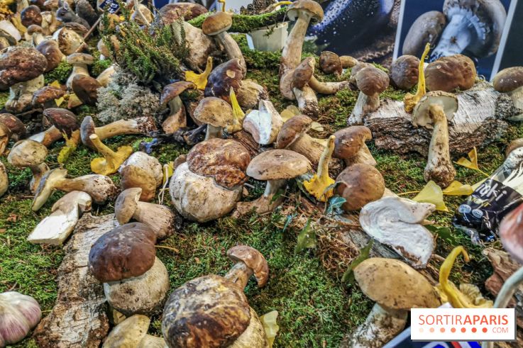 Rungis investit le Grand Palais, les photos 